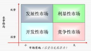 信息咨询服务 提升决策效率与业务发展的关键支持