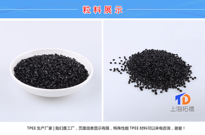TPEE帝斯迈EB501 上海信息咨询服务解析